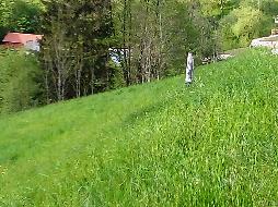 Waidhofen an der Ybbs - Günstige Baugründe in sonniger Lage
